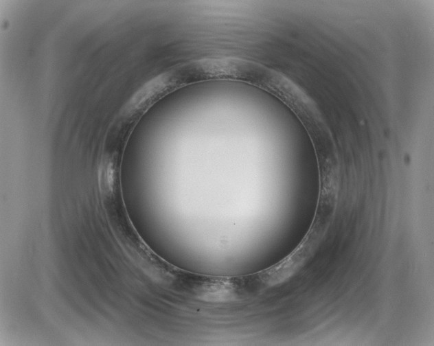 X0000086070124200703231317
