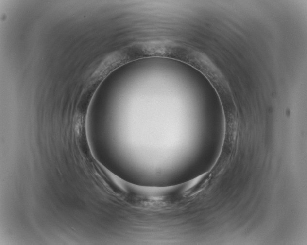 X0000086070125200703231317