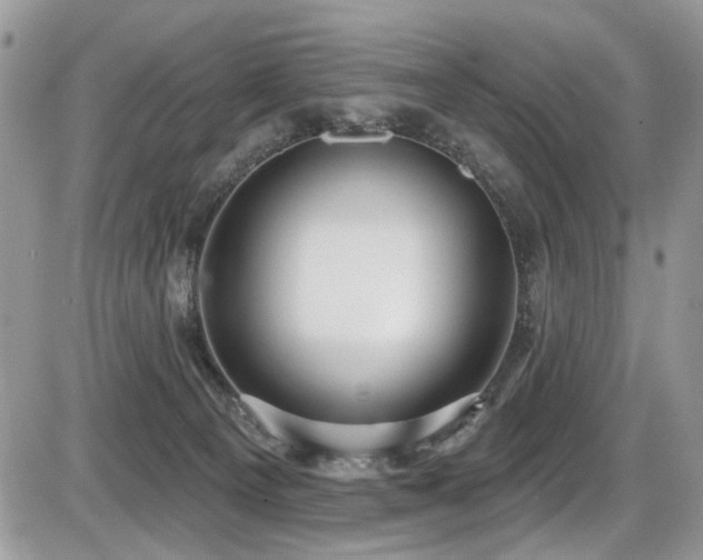 X0000086070129200703231317