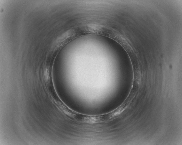 X0000086070131200703231317