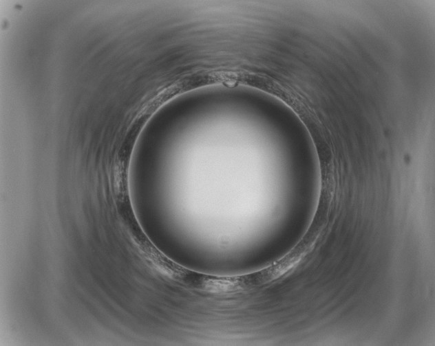 X0000086070139200703231317