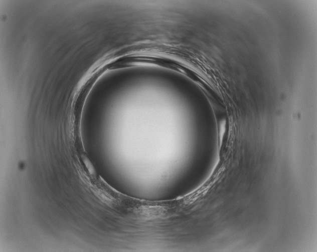 X0000086070150200703231316