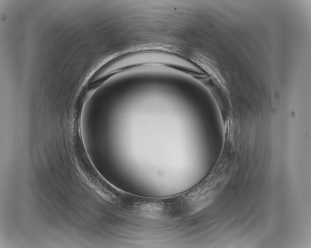 X0000086070156200703231316