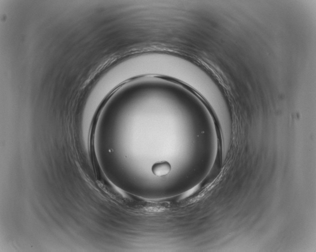 X0000086070158200703231316
