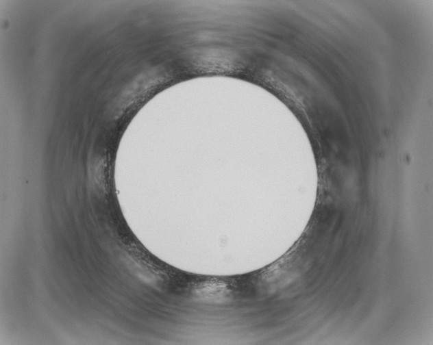 X0000086070162200703231316