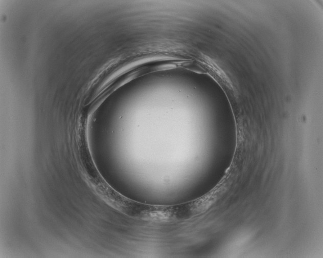 X0000086070163200703231316