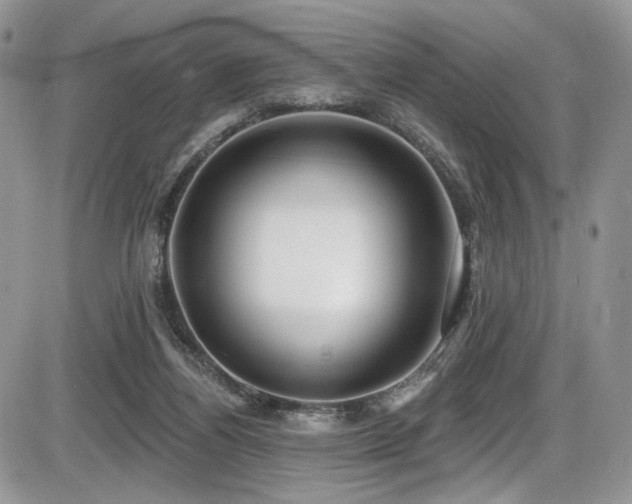 X0000086070164200703231316
