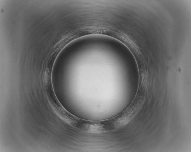 X0000086070165200703231316