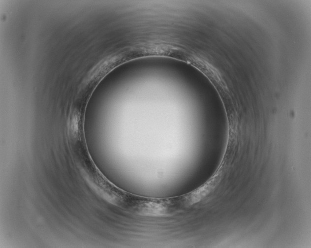 X0000086070166200703231316