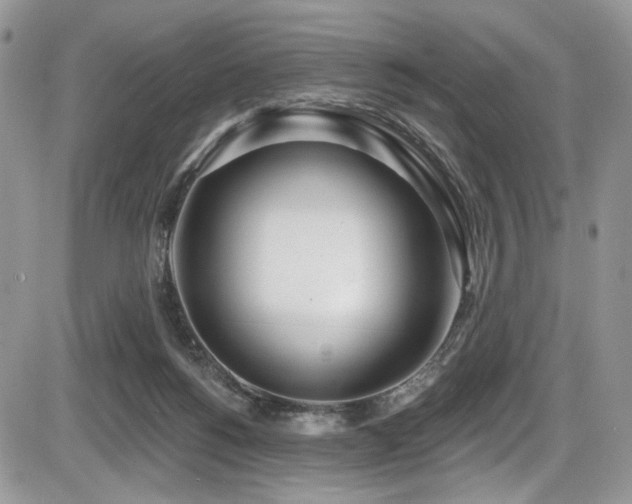 X0000086070168200703231316