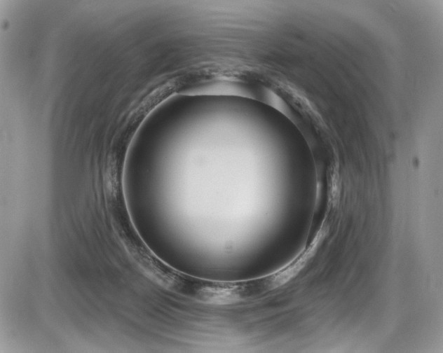 X0000086070170200703231317