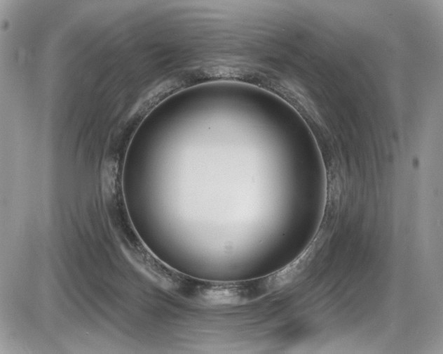 X0000086070171200703231317