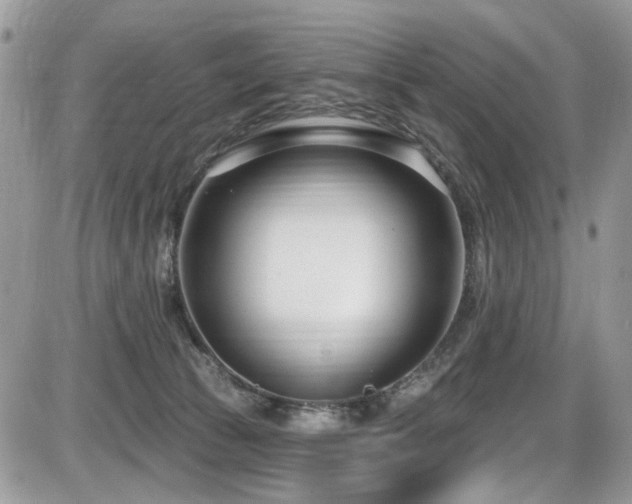 X0000086070177200703231317