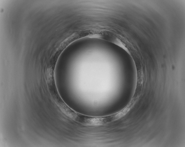 X0000086070184200703231317