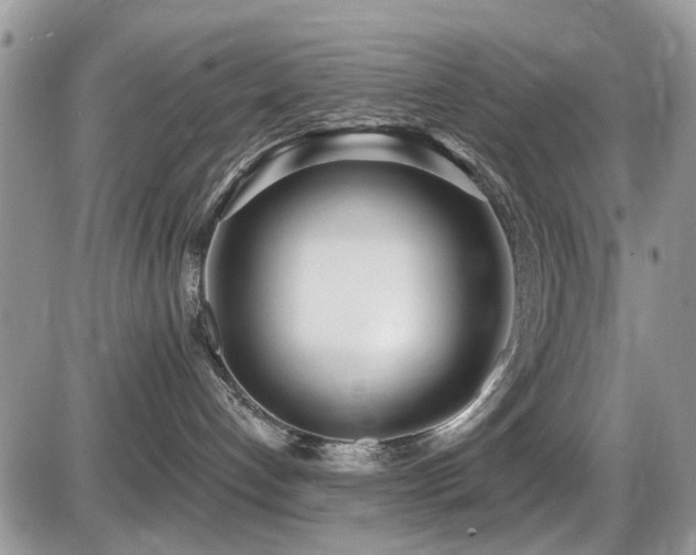 X0000086070192200703231317