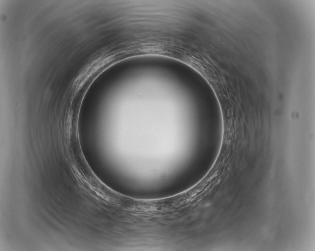 X0000086070194200703231316