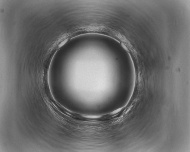 X0000086070201200703231316
