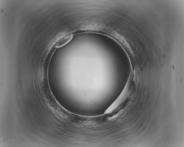 X0000086070204200703231316