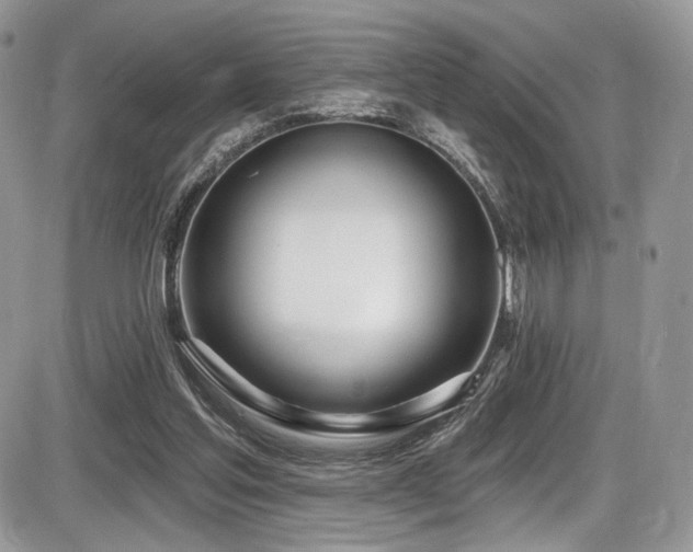 X0000086070205200703231316
