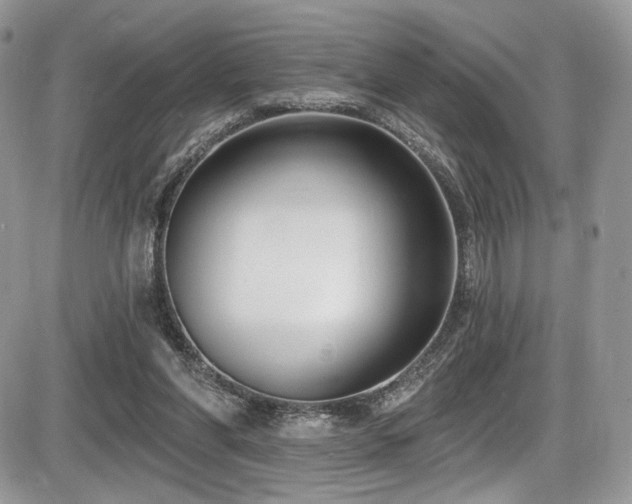 X0000086070206200703231316