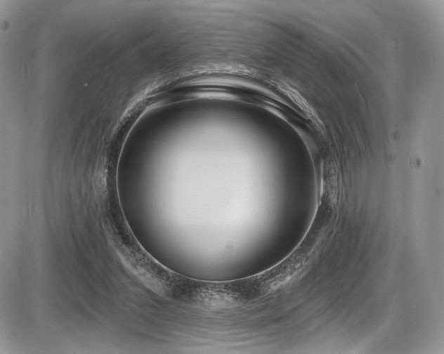 X0000086070207200703231316