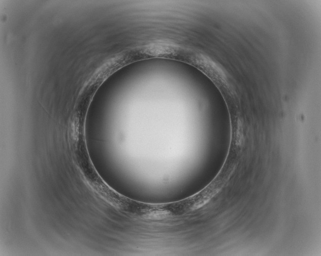 X0000086070210200703231316