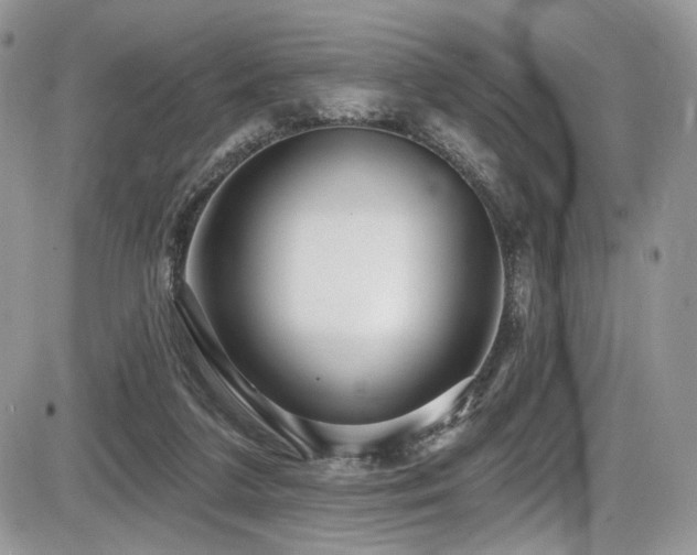 X0000086070211200703231316