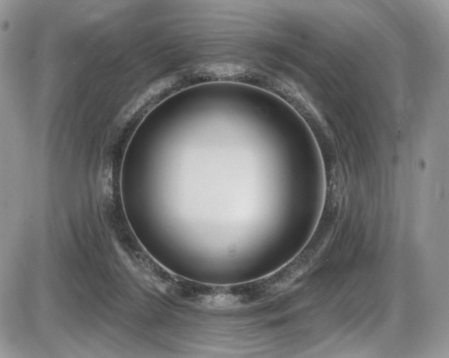 X0000086070212200703231316