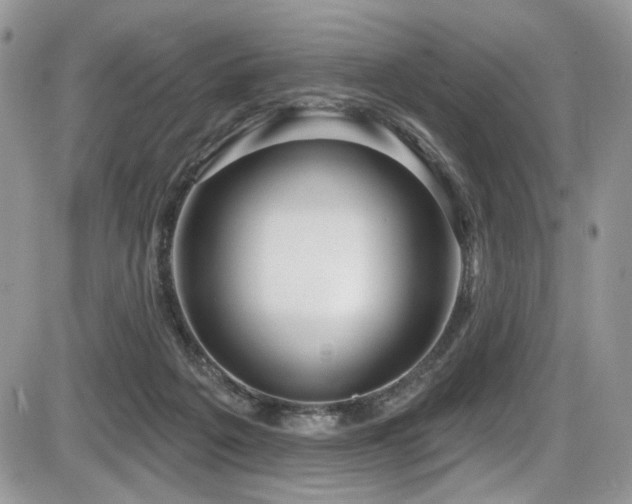 X0000086070217200703231316
