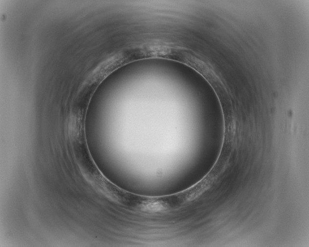 X0000086070218200703231316