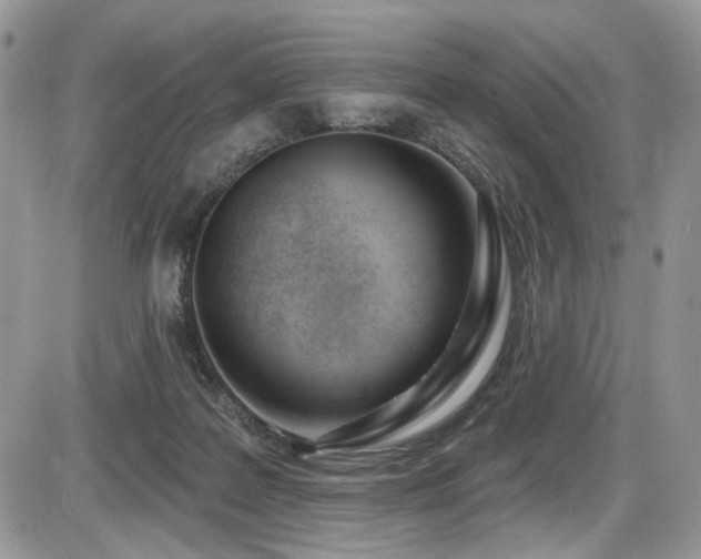 X0000086070219200703231316