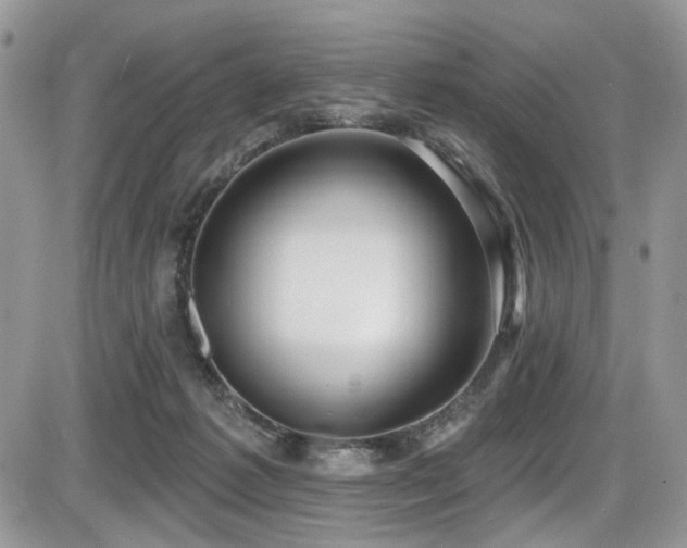 X0000086070221200703231316