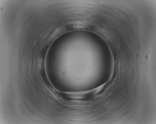 X0000086070227200703231315