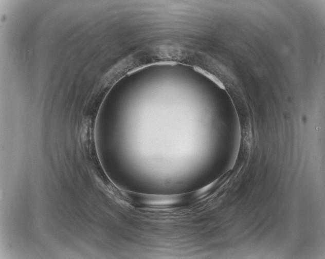 X0000086070233200703231315