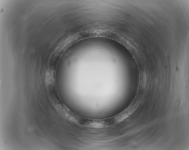 X0000086070236200703231315