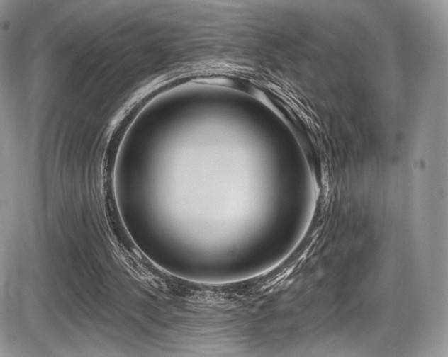 X0000086070244200703231315
