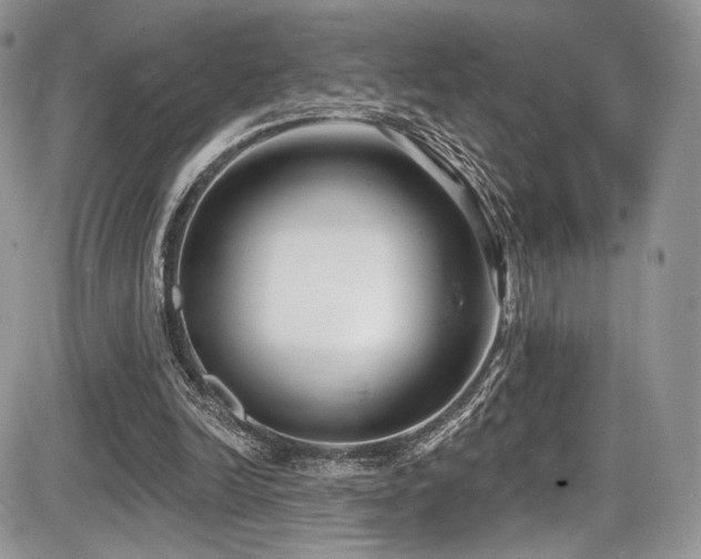 X0000086070246200703231315