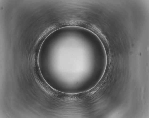 X0000086070250200703231315