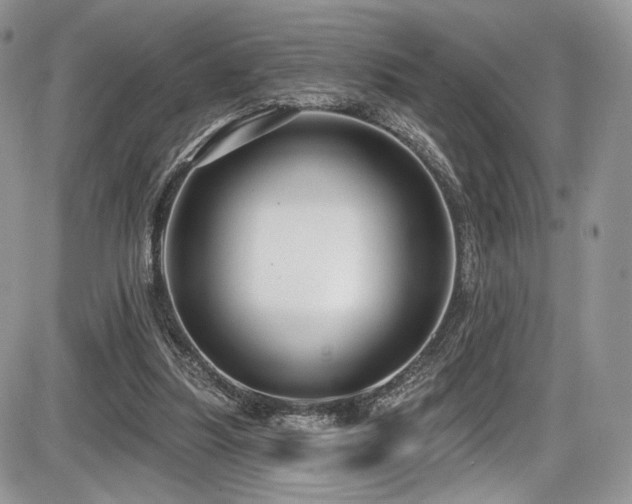X0000086070251200703231315