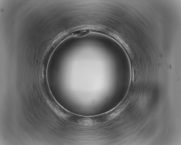 X0000086070253200703231315
