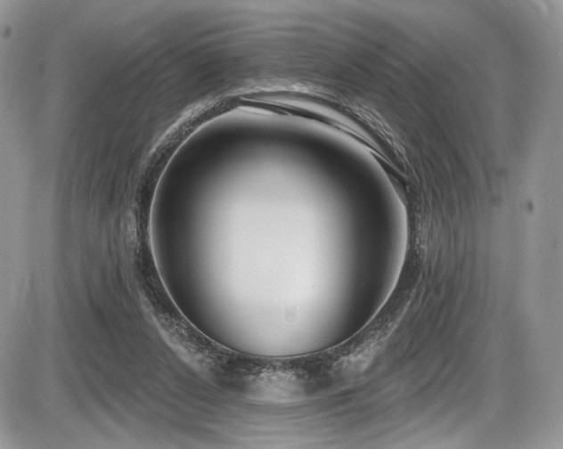 X0000086070256200703231315