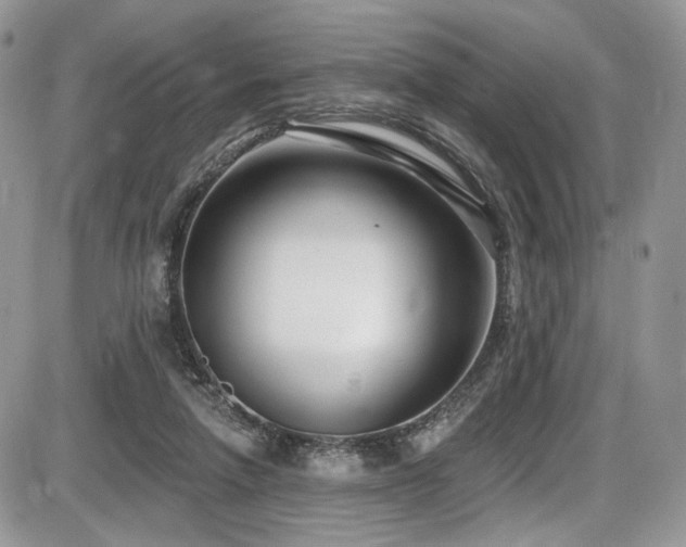 X0000086070258200703231315
