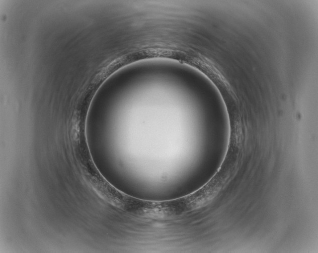 X0000086070259200703231315