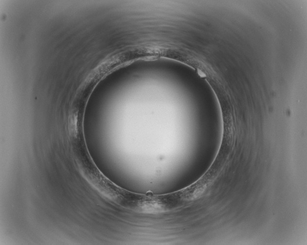 X0000086070262200703231315