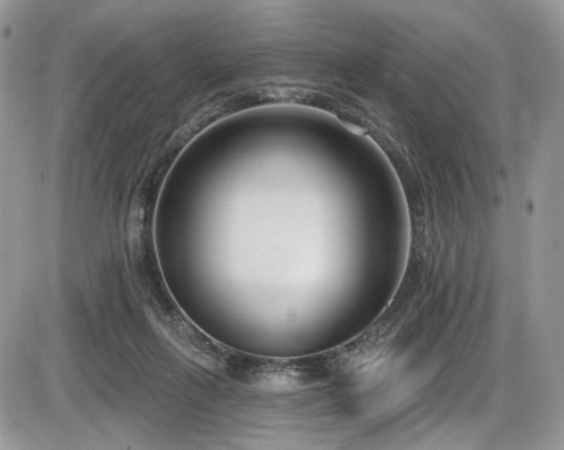 X0000086070263200703231315