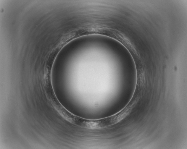 X0000086070265200703231315