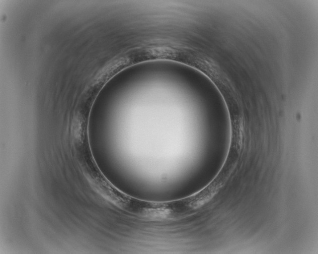 X0000086070266200703231315