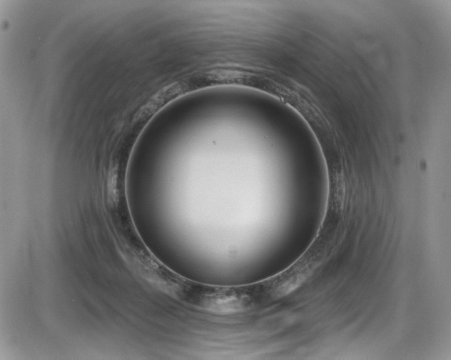 X0000086070267200703231315