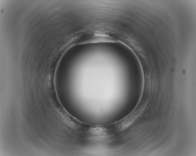 X0000086070269200703231315