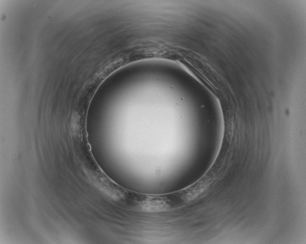 X0000086070270200703231315